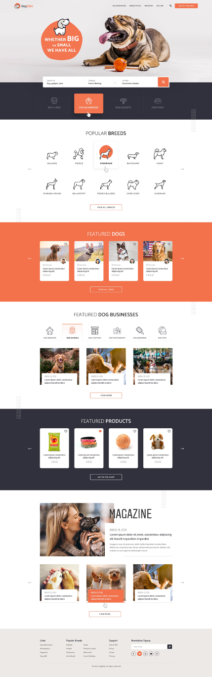 Modern animal hospital exterior building used as inspiration for a clinic website redesign