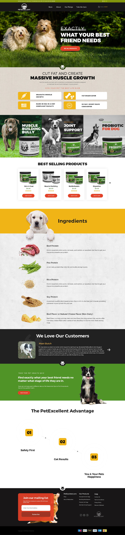 Mobile veterinary van used for house-call pet care, featured in a vet website case study